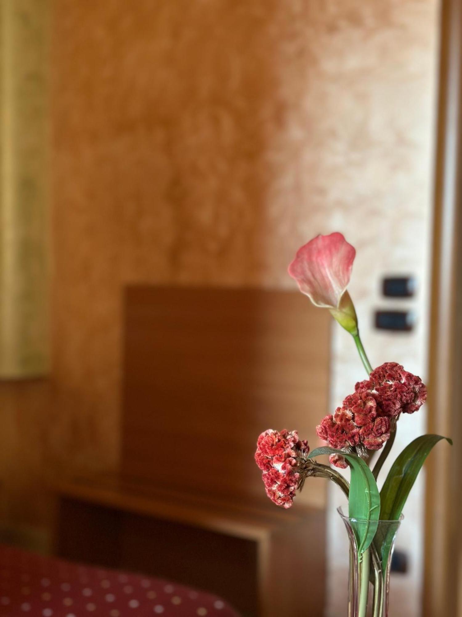 Hotel Il Giardino Degli Aranci Nola Zewnętrze zdjęcie